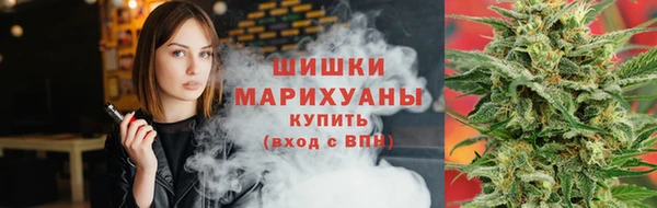 ГАЛЛЮЦИНОГЕННЫЕ ГРИБЫ Заводоуковск