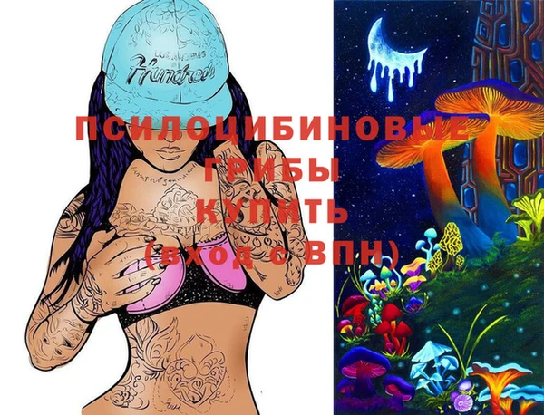 ГАЛЛЮЦИНОГЕННЫЕ ГРИБЫ Заводоуковск