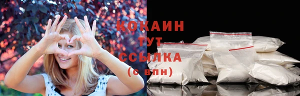 ГАЛЛЮЦИНОГЕННЫЕ ГРИБЫ Заводоуковск