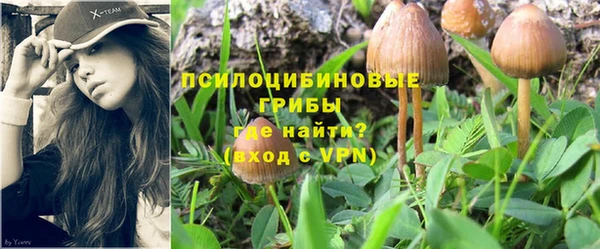 метадон Заволжье