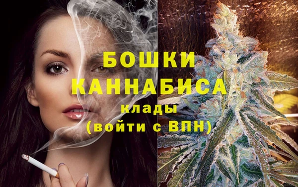ГАЛЛЮЦИНОГЕННЫЕ ГРИБЫ Заводоуковск
